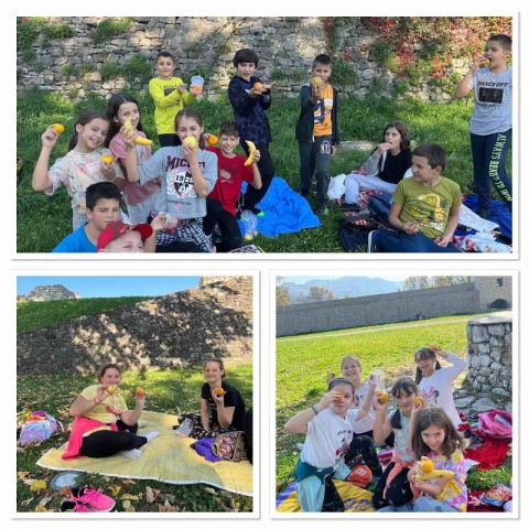 mini-IMG-22b22f224cb98c5c9787e0dc9f4025f2-V