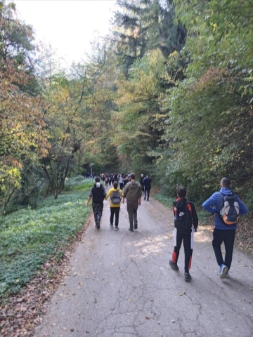 mini-IMG-36c12f6db6c19adc82332da4bd5e98bf-V