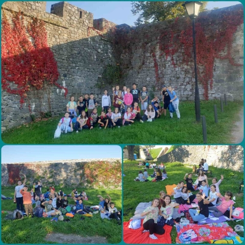 mini-IMG-abc430ba1dda8611877701e898a7cb5b-V