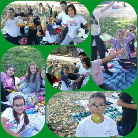 mini-IMG-c7a41a2d21436813cdd42e736a8d7ac0-V (1)