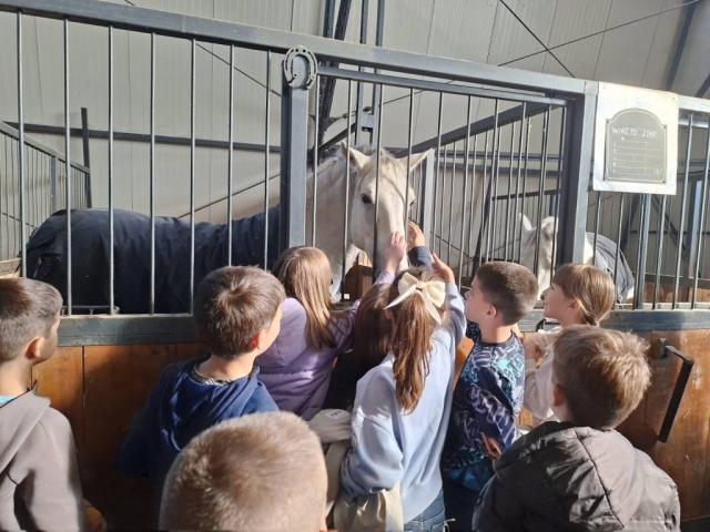 IMG-3ff17f6d1df2c6315fc8c07391685cbe-V